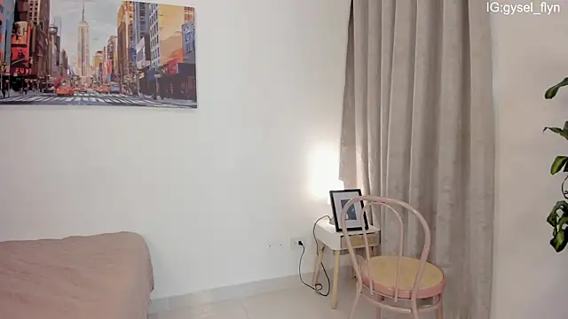 Gysel_flynn webcam