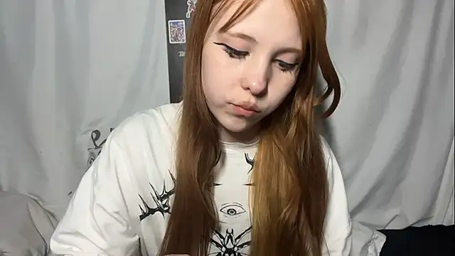 LittleEres webcam