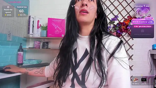 SALOME_KORLAND webcam