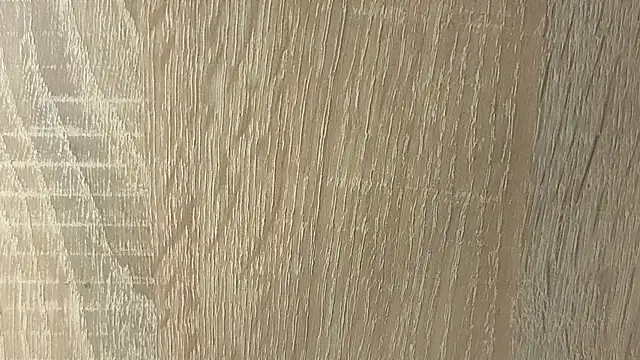 NoFace_Model webcam