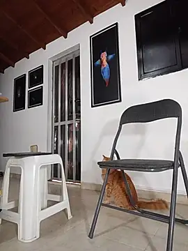 SilvaBranko webcam