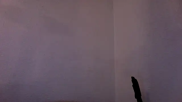 spartan24cm webcam