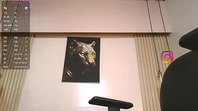 virtual_charm webcam