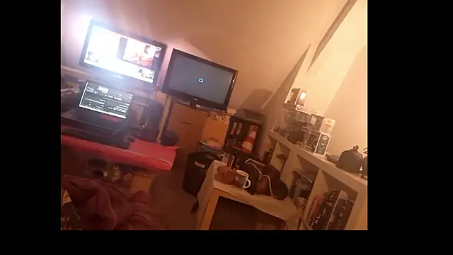 Mastersanges webcam