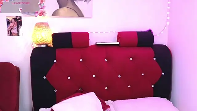 sara-smi webcam