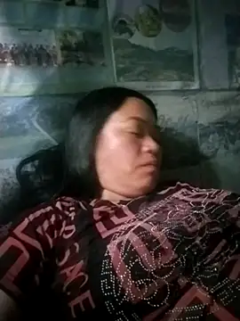 Min-in webcam