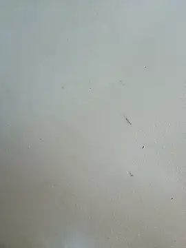 -Bitilu- webcam