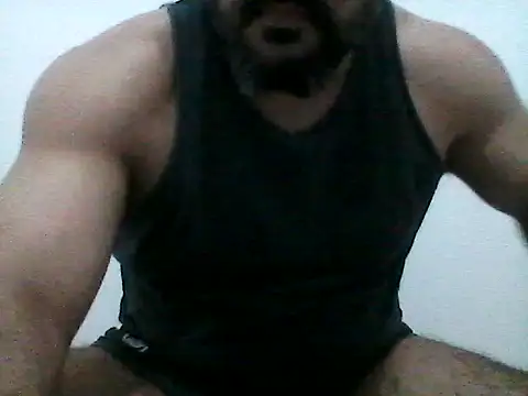 stallony webcam