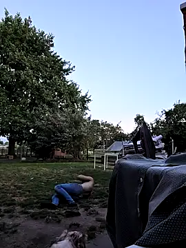 stablemen webcam