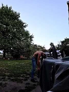 stablemen webcam