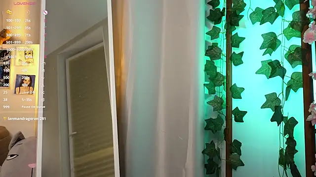 brendacom webcam