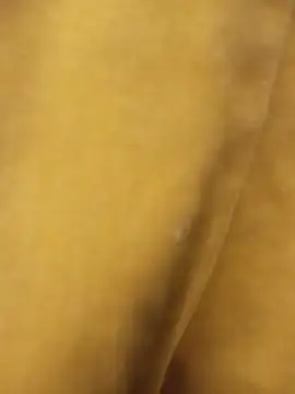 hoittytoittyxx webcam