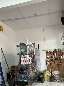 Paul22cm- webcam