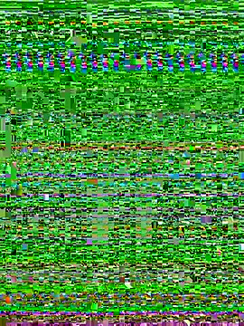 Bold-arabic-vibes webcam
