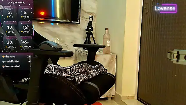 SilverShade3 webcam