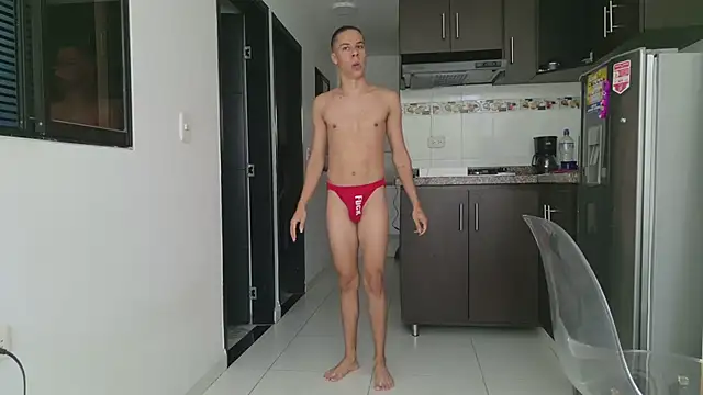 grey___27 webcam