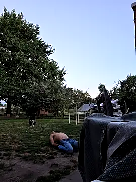 stablemen webcam