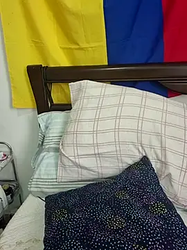 IrisBound webcam