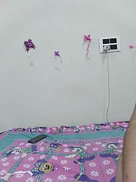 silkyhairs webcam