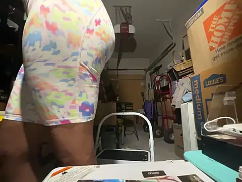 wynterheat webcam