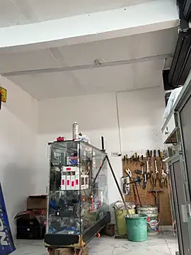 Paul22cm- webcam