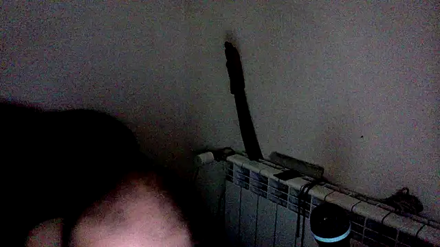 spartan24cm webcam