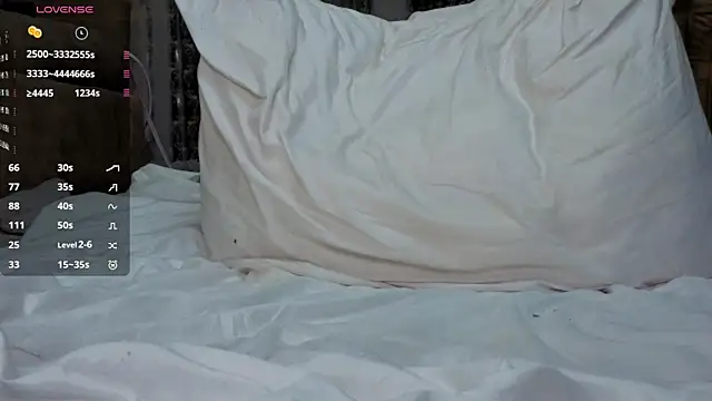 ToiKinyon webcam