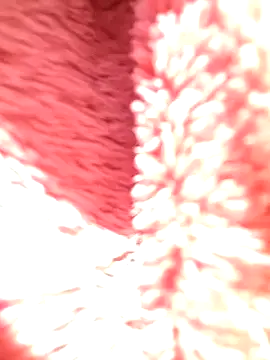 You-sexy-starr webcam