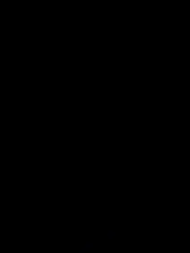 SerenaVice webcam