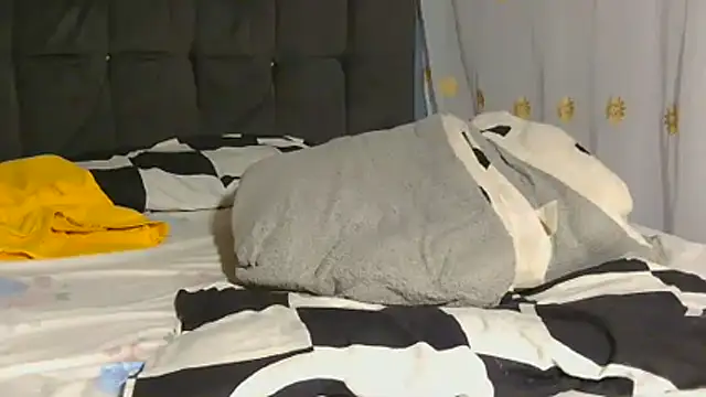 Dic_star webcam