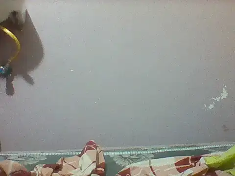mislover webcam