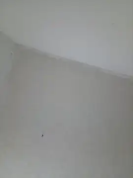 Arianna_Moss webcam