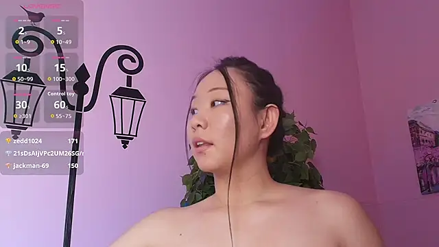 Inari_Okami_ webcam