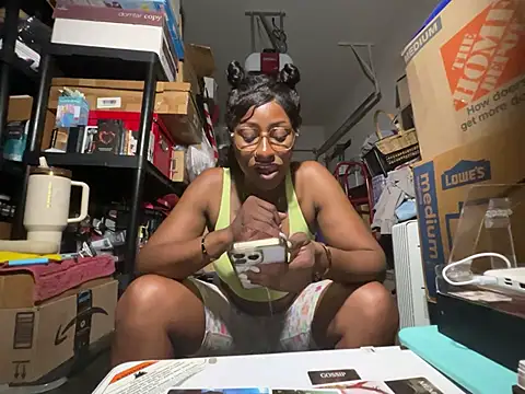 wynterheat webcam