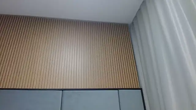 Only_Mane webcam