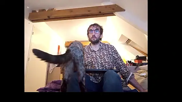 Mastersanges webcam