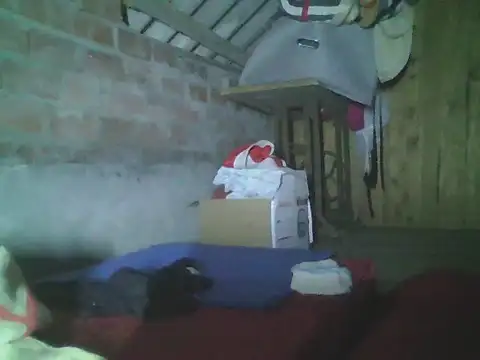 Uyta webcam