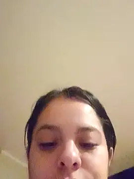 Moon-Lice webcam