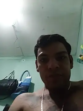 Casarking webcam