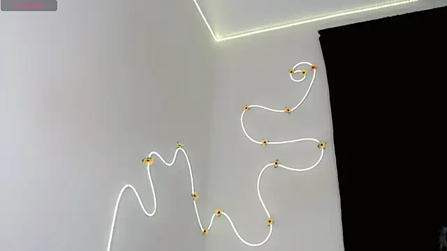 everlin_01 webcam