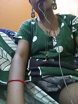 jasss-12x webcam
