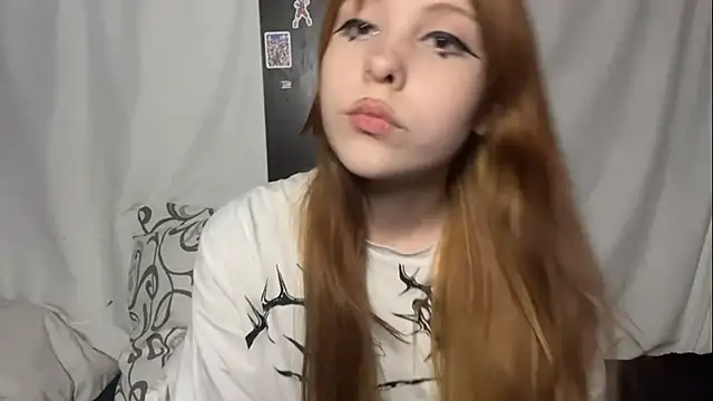 LittleEres webcam