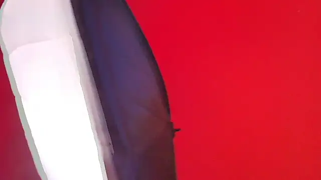 fox_white_ webcam