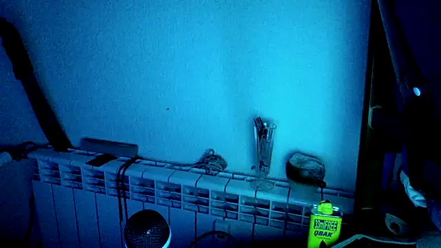spartan24cm webcam