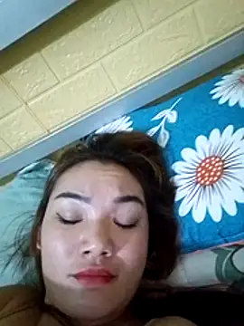 Voiva11 webcam