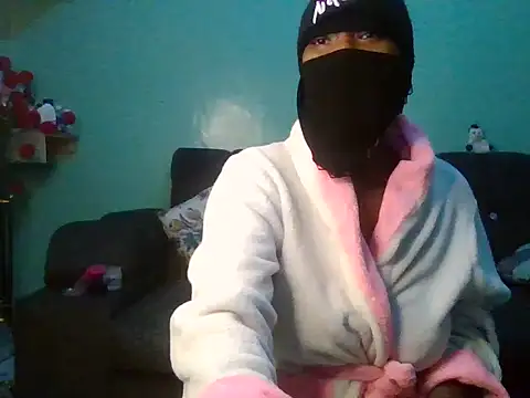Priscay webcam