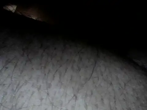 bull_dog69 - Bull_dog69's free webcam - UK Sex Cams
