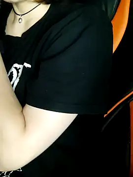 Aashikalaa webcam