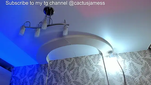 Cactus__James webcam