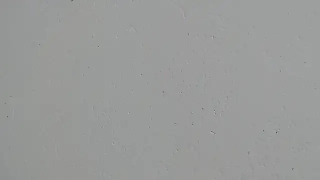 erikaskinny18 webcam